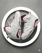 Air Jordan 6 Retro